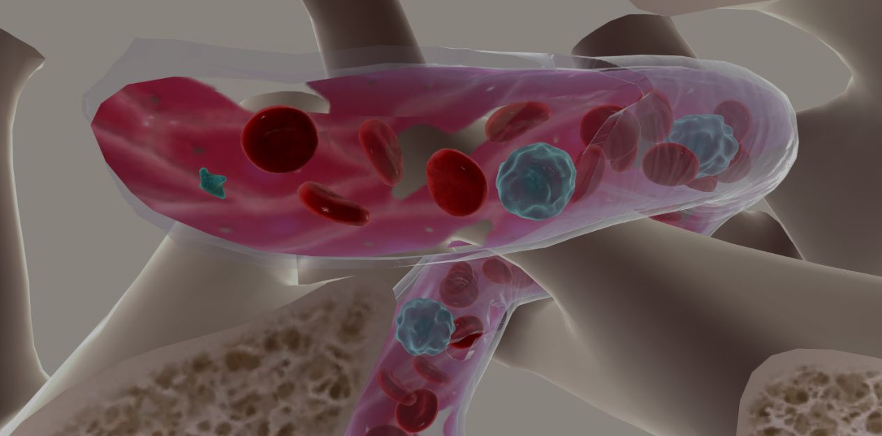 Vital- und Wellness-Infusionen Vital- und Wellness-Infusionen