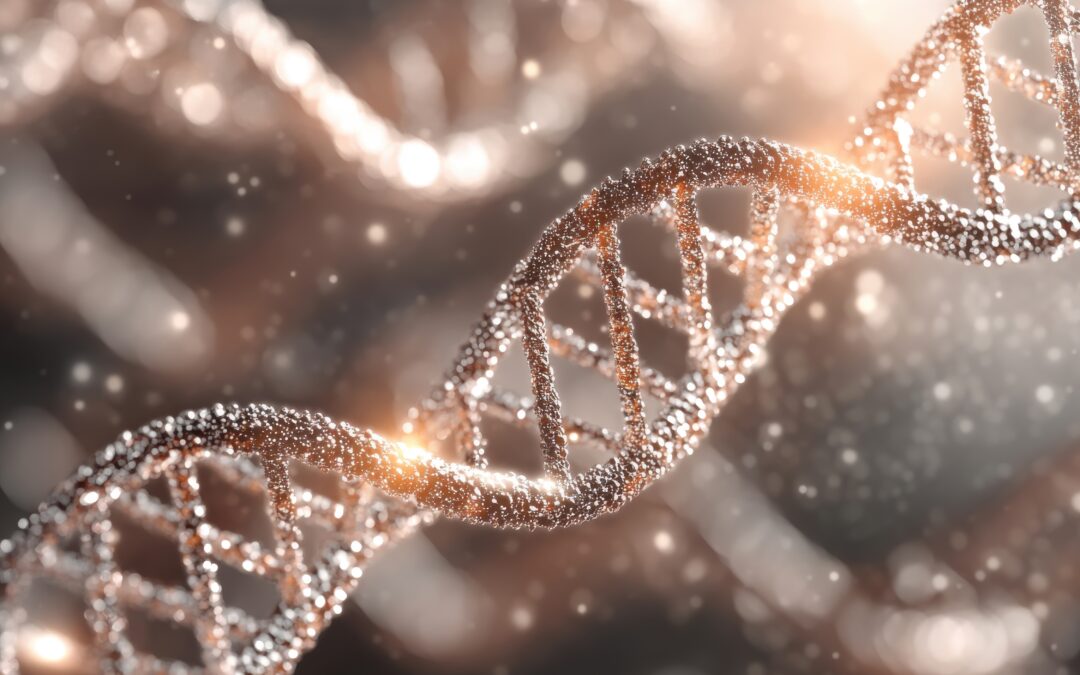 Epigenetik: Der Schlüssel zur Langlebigkeit?